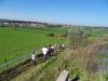 2010-18-en partant du fromage-07